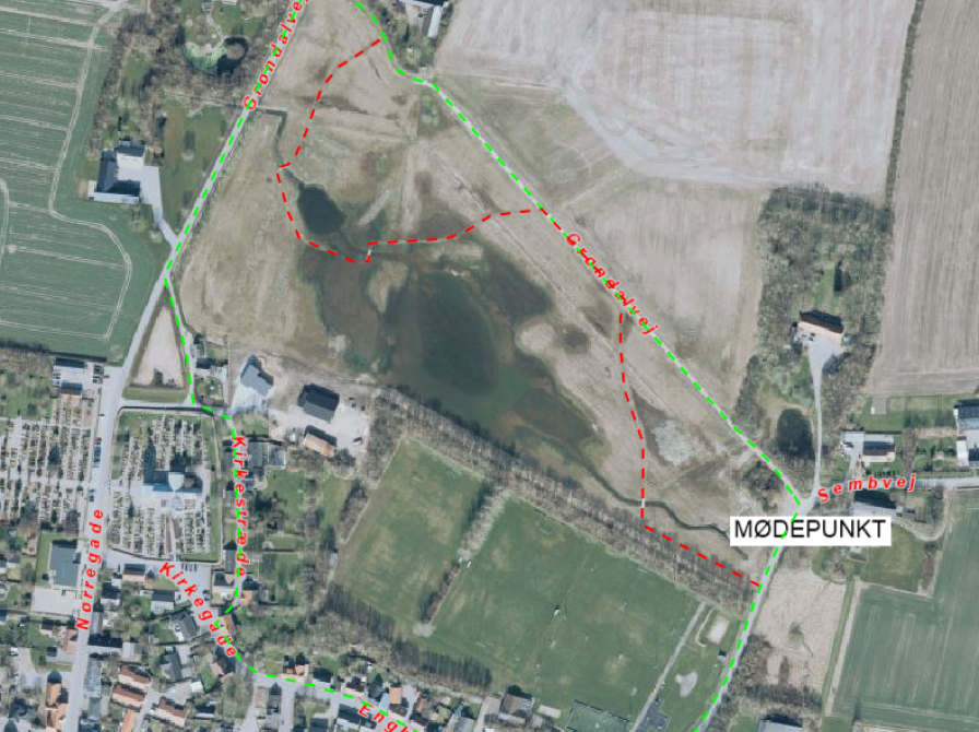 Rute